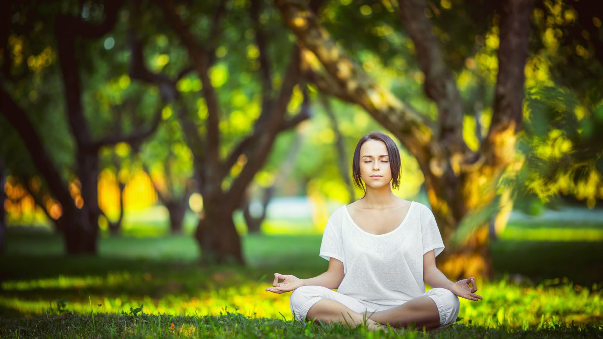 球迷的最爱：历年来最受欢迎的欧冠经典瞬间，欧冠著名球星