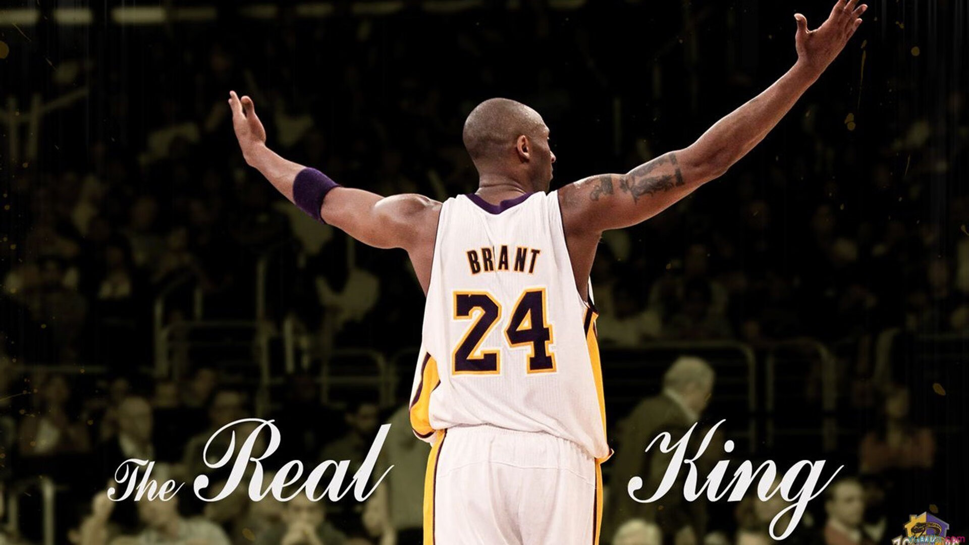 kaiyun中国官方网站-中小学篮球活动纳入城市体育节提升活动层级，中小学篮球现状