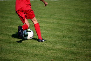 kaiyun网站-中国足球青训体系引进国际先进训练理念，中国足球青训体系是什么