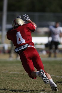 kaiyun官方网站-校园足球支持学生裁判项目拓展多元职业通路，普通高校足球专业学生裁判能力的培养